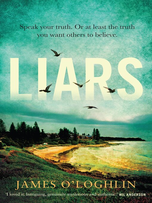 Title details for Liars by James O'Loghlin - Wait list
